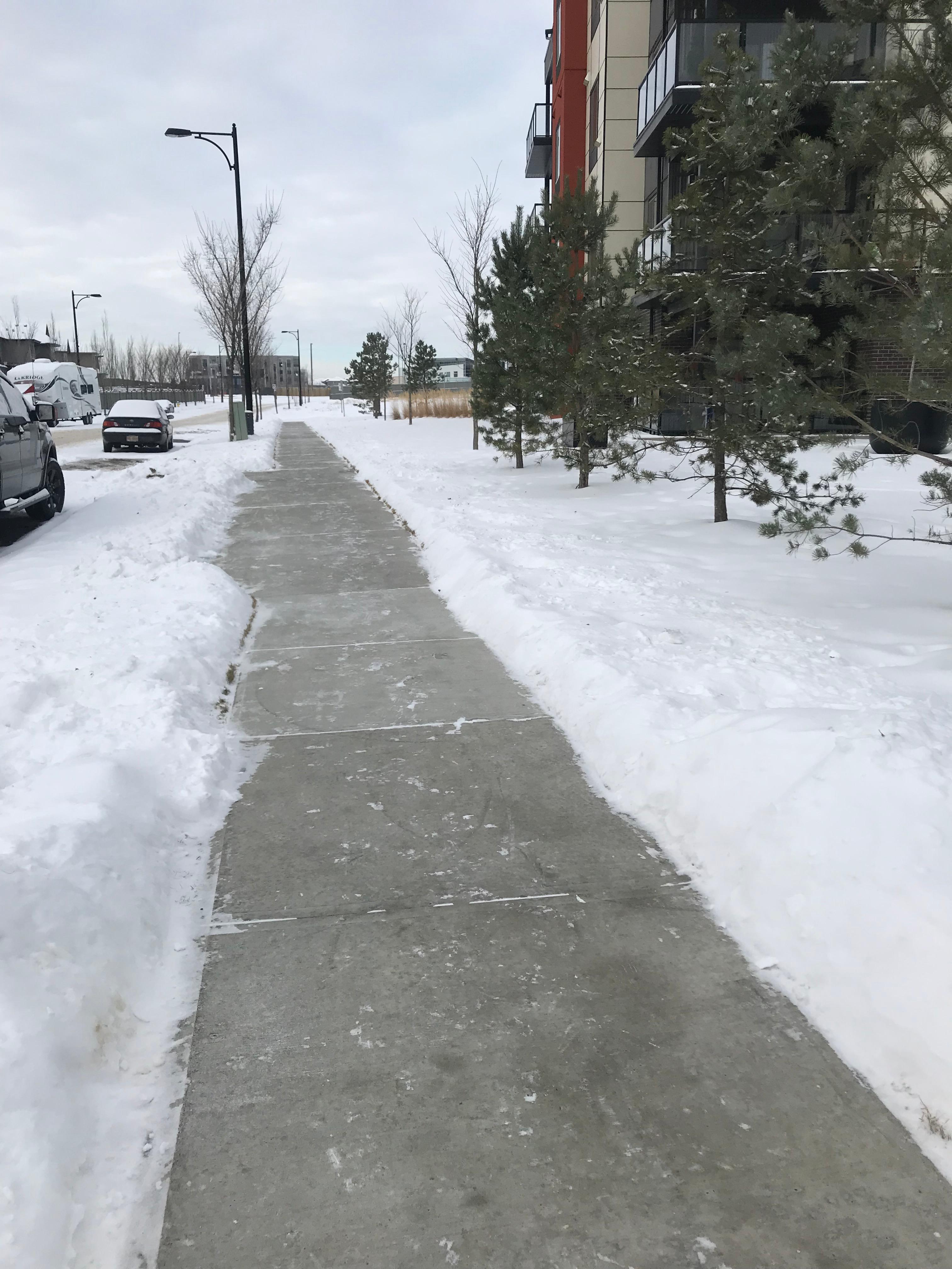 Long cleared sidewalk beside apartment building, wide snow covered grounds